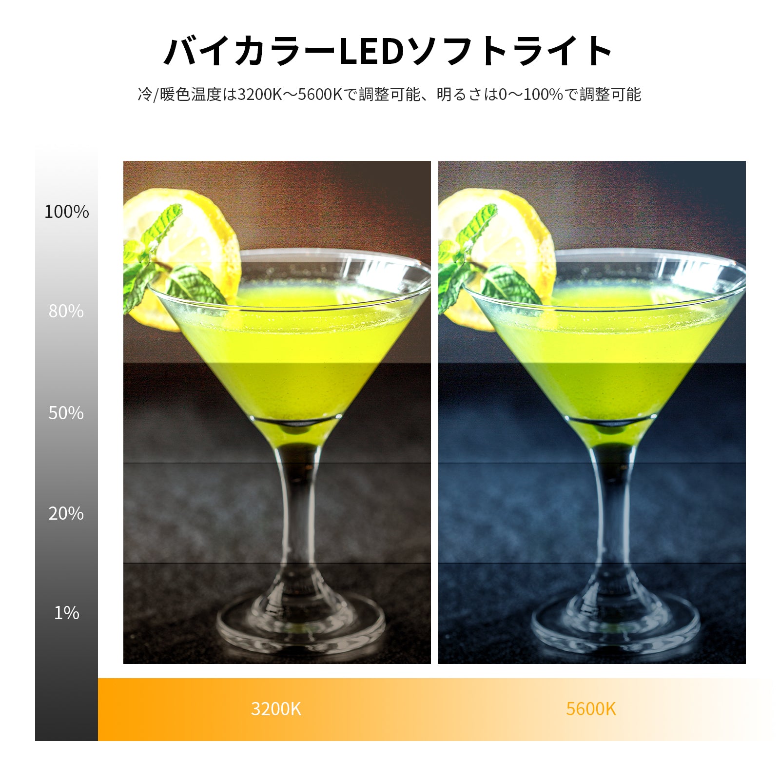 NEEWER NL-116AI 9インチLEDビデオライト ミニ三脚付き – NEEWER.JP