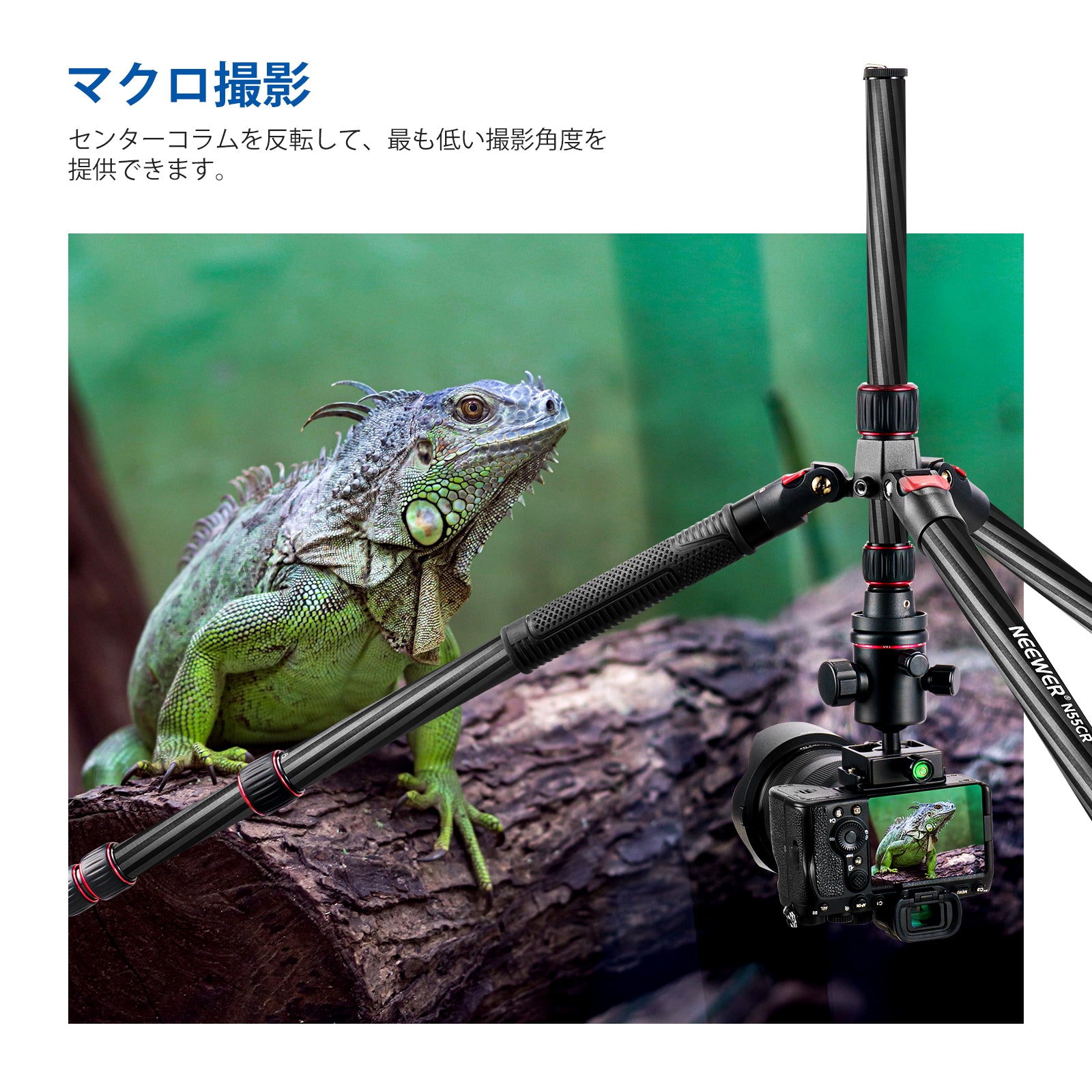 超美品★ NEEWER カメラ三脚 N55CR #1507 NEEWER N55CR カメラ三脚一脚 – NEEWER.JP