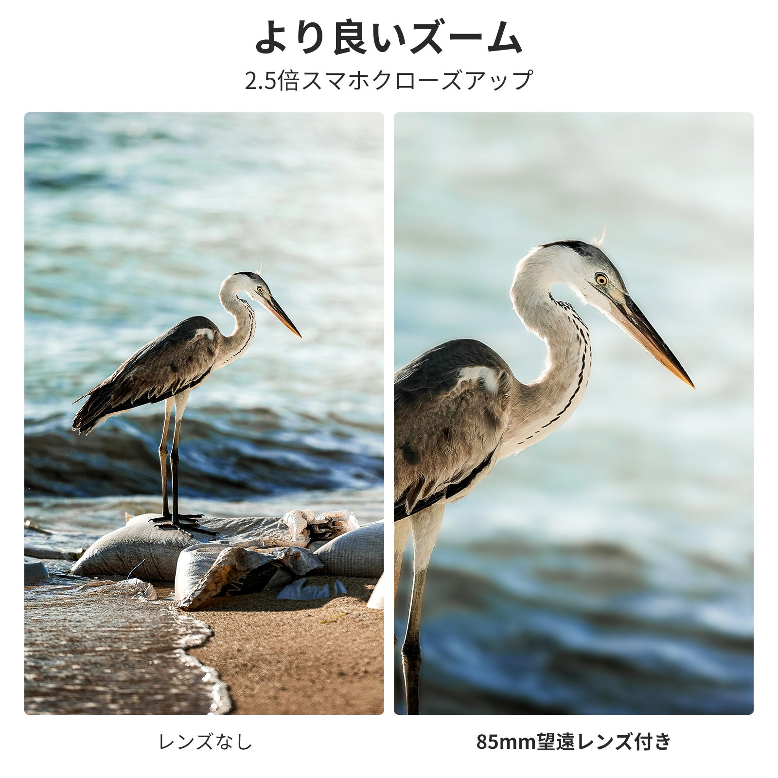 NEEWER LS-59 85mm 望遠スマホレンズ 17mmスレッド付き – NEEWER.JP