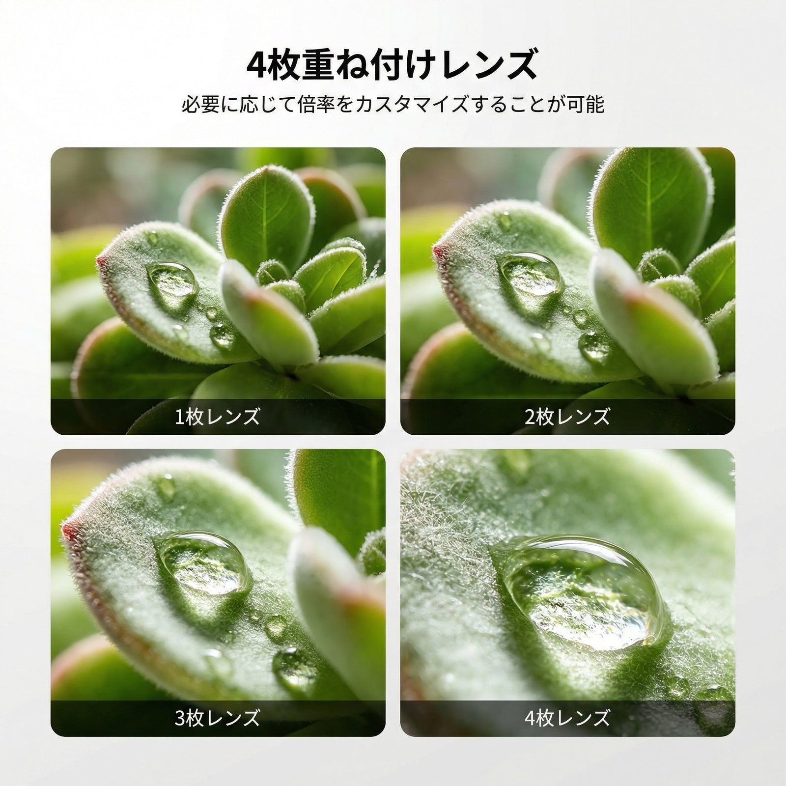 NEEWER LS-87 4パック スマホ用マクロレンズキット – NEEWER.JP