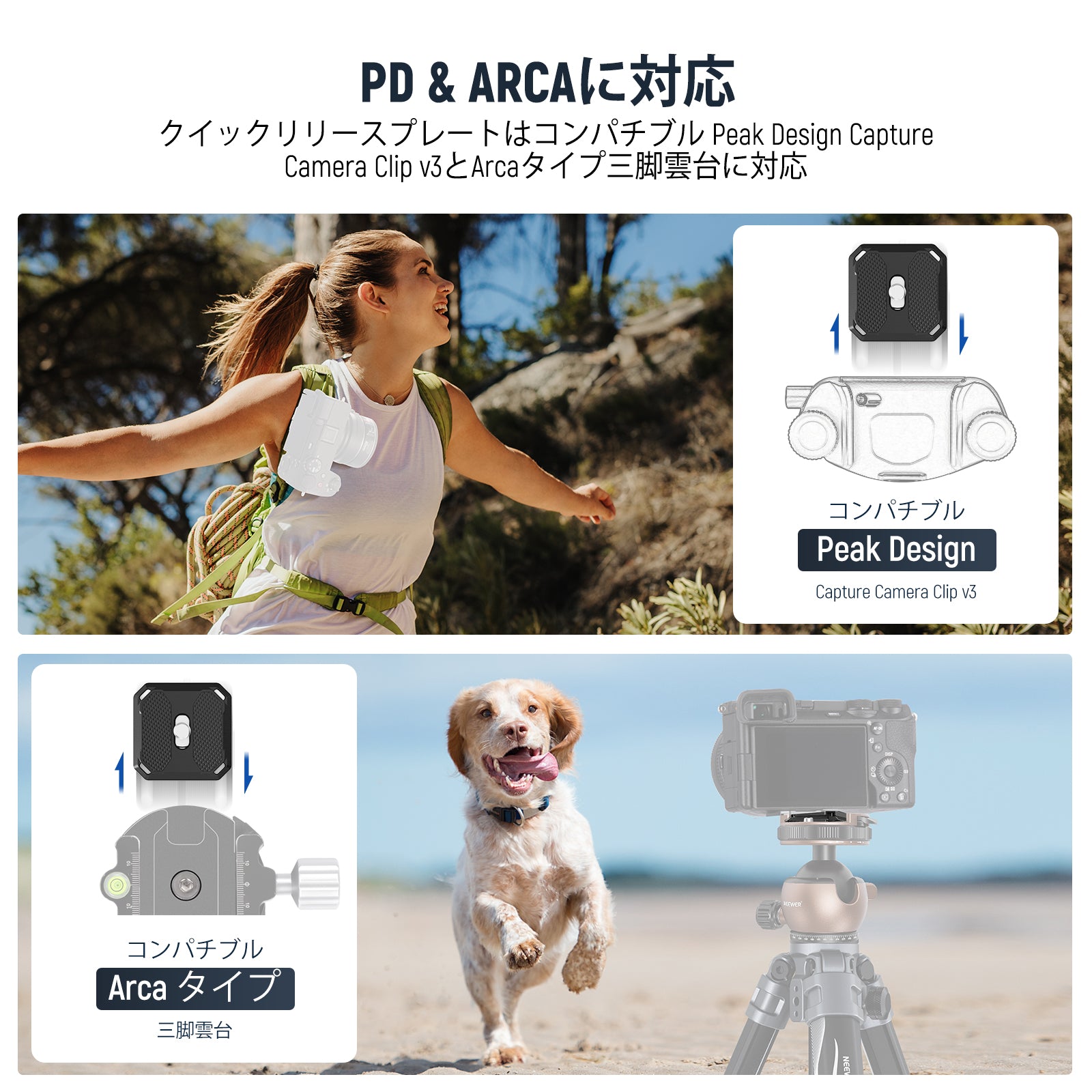 NEEWER GM41 低重心ボールヘッド – NEEWER.JP