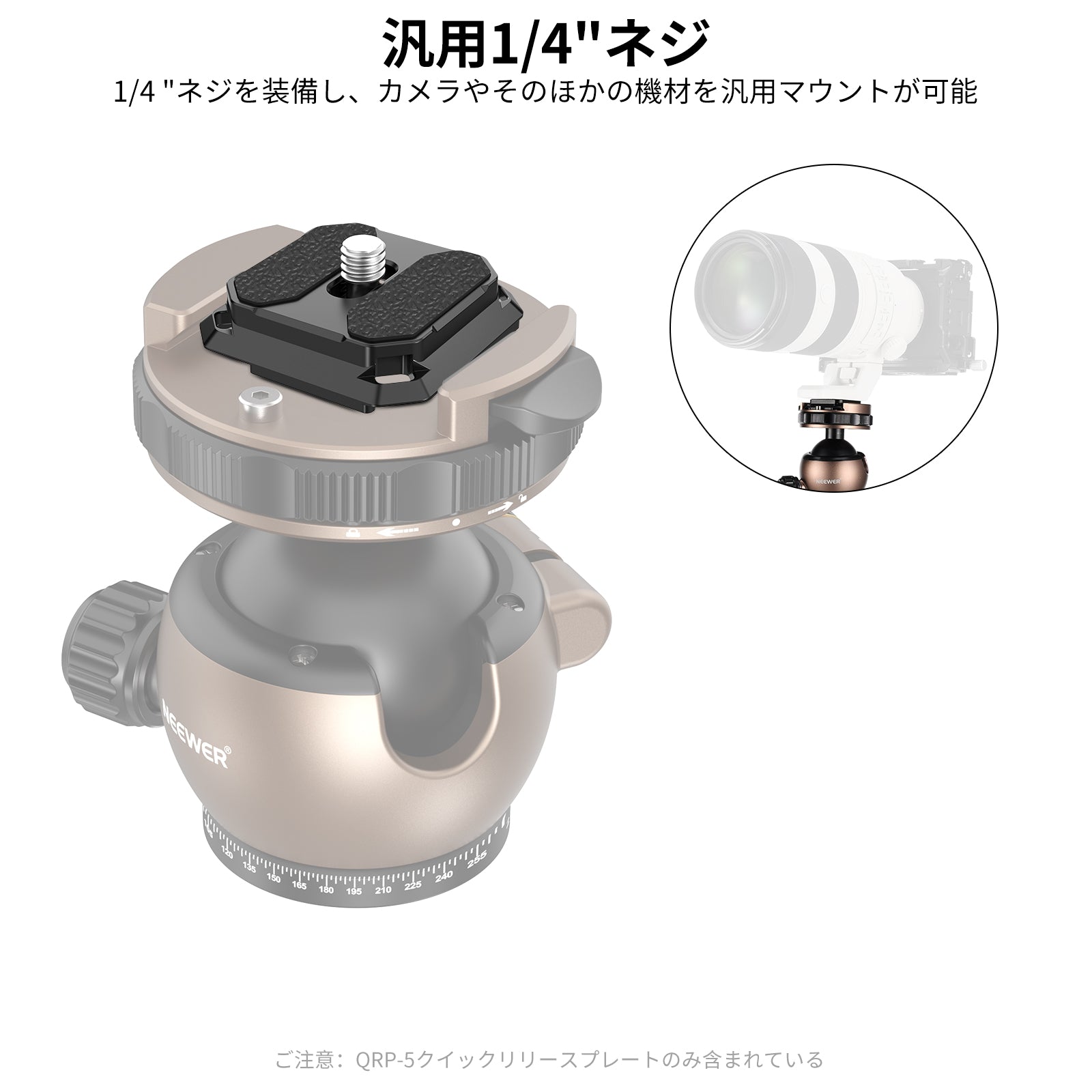 NEEWER 2パック 38mm クイックリリースプレート – NEEWER.JP