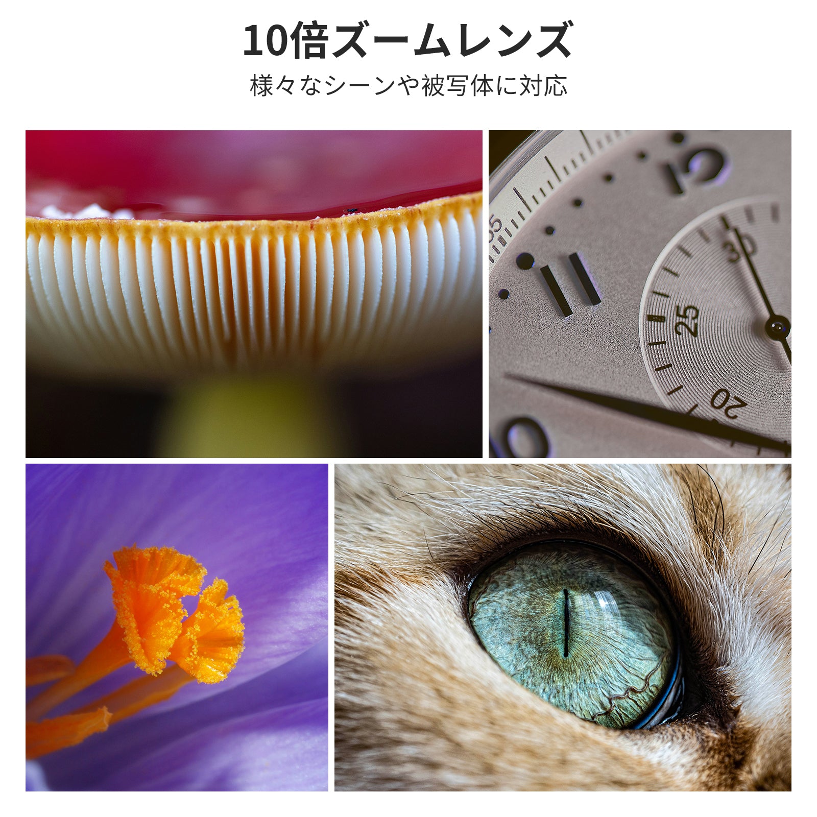 NEEWER LS-28 PRO 10X マクロレンズ 17mmスマホレンズクリップ付き