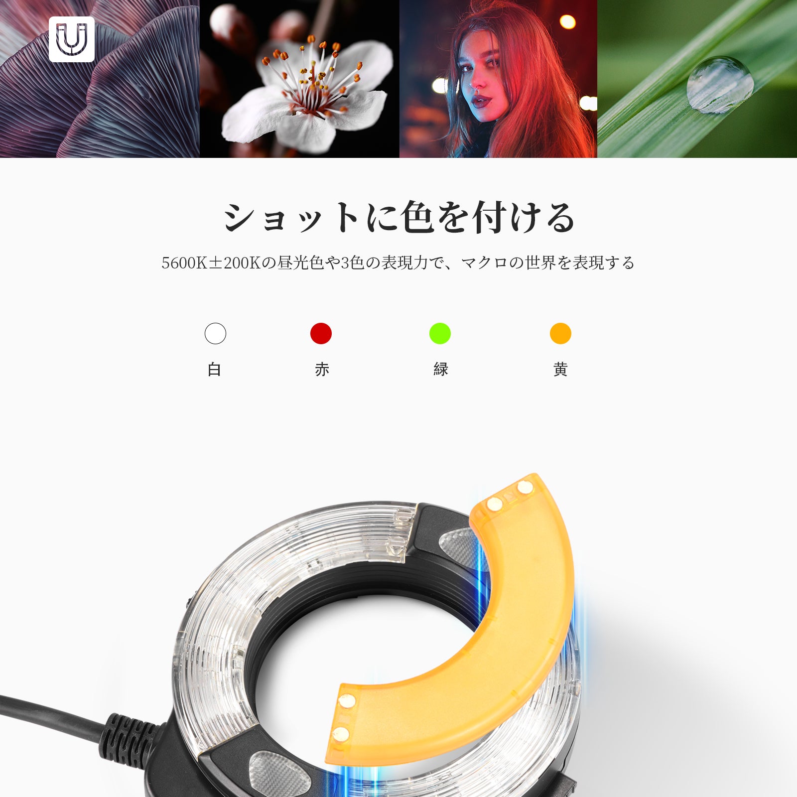 NEEWER RF1 76Ws 5600K GN15 TTL Canon/Nikon/Sony用 – NEEWER.JP