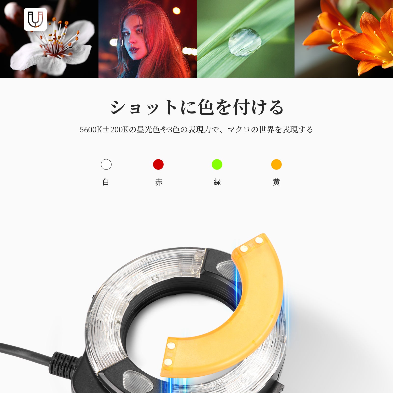 NEEWER RF1 76Ws 5600K GN15 TTL リングフラッシュライト Canon/Nikon