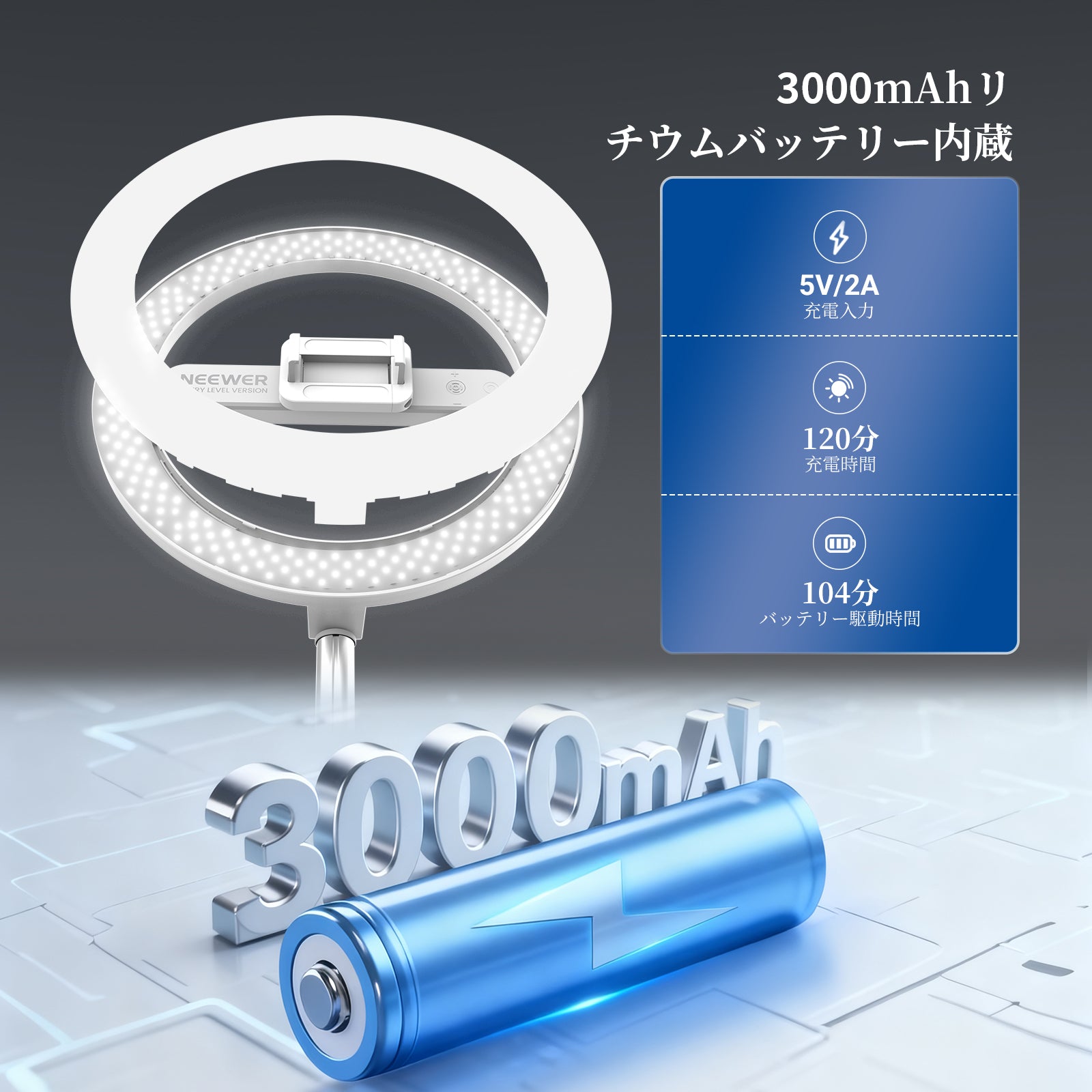 NEEWER ENTRY LEVEL VERSION 10