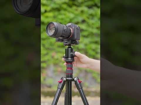 NEEWER TP77 197cm カメラ三脚一脚 – NEEWER.JP