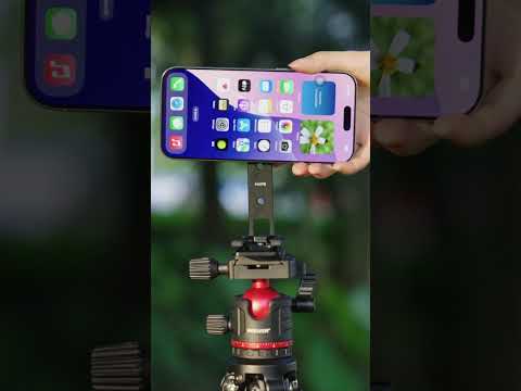 NEEWER PA098 デュアルマグネット式 スマホ三脚スタンド – NEEWER.JP